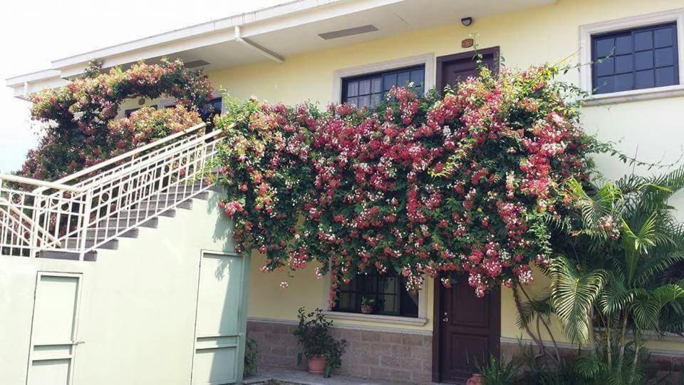 Apartamento Corporativo Peña Blanca エクステリア 写真